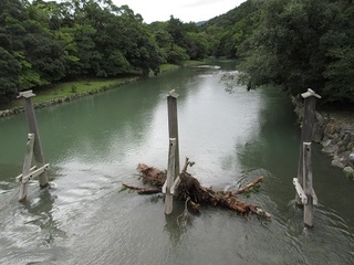 宇治橋からの五十鈴川