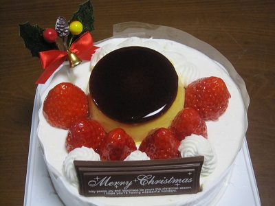 やっぱりパステルのクリスマスケーキ 名古屋弁でブログをはじめてみました